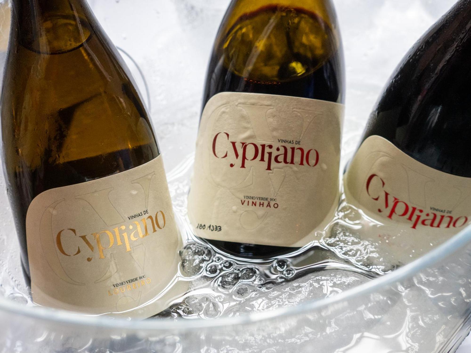 Quinta De Cypriano - Wine & Nature Ponte da Barca Exterior photo