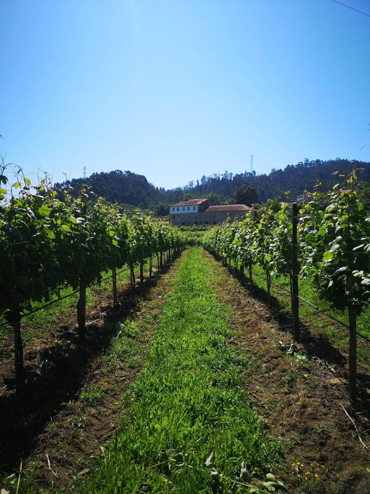 Quinta De Cypriano - Wine & Nature Ponte da Barca Exterior photo