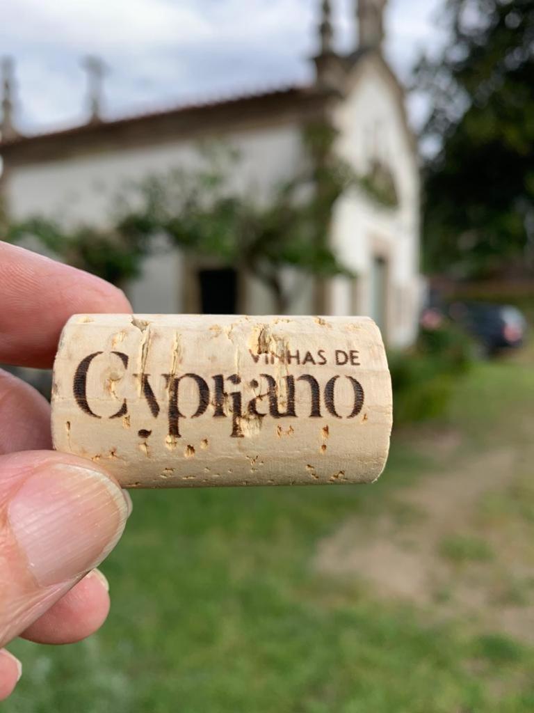 Quinta De Cypriano - Wine & Nature Ponte da Barca Exterior photo
